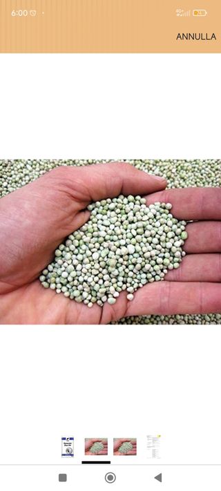 Basacote Plus 9M Concime (npk)(mg) 16-8-12 +(2)