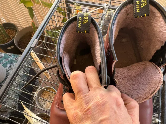 Botas estilo Dr. Martens Rojas con pelo interior.