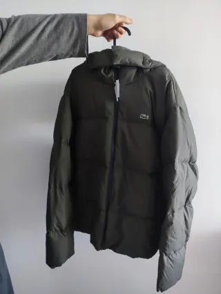 Abrigo acolchado Lacoste verde