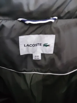 Abrigo acolchado Lacoste verde