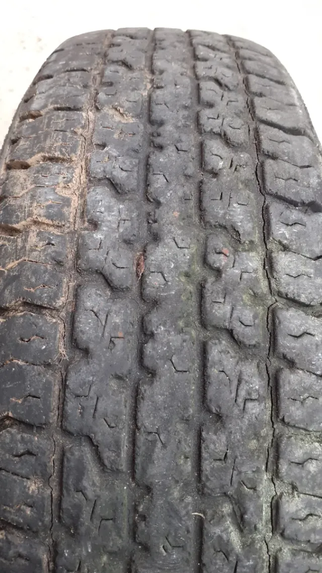 Ruota per auto o carro