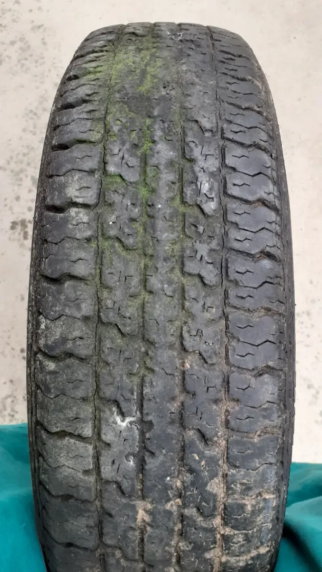 Ruota per auto o carro