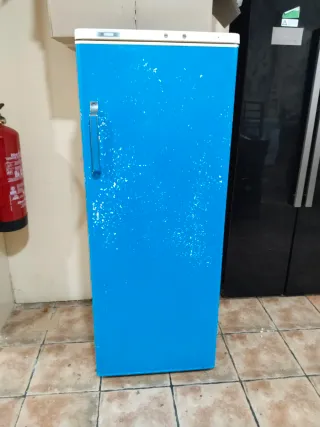 Congelador vertical Zanussi 6 baldas