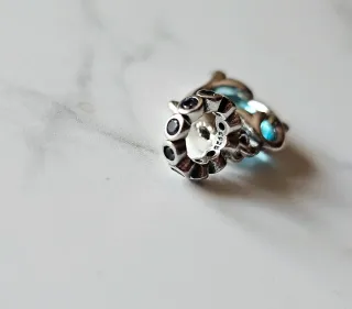 Charm Corazón Delfines