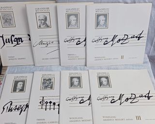 Cofanetto 8 Vinili Classica Opera