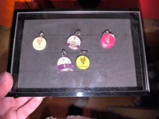 Expositor Medallas Younique