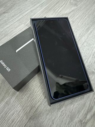 Samsung Galaxy S25
