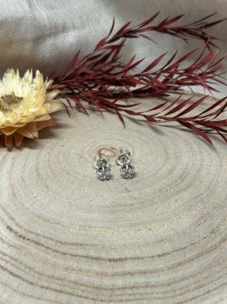 Pendientes Flor Brillante Plata