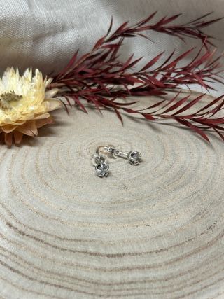 Pendientes Flor Brillante Plata