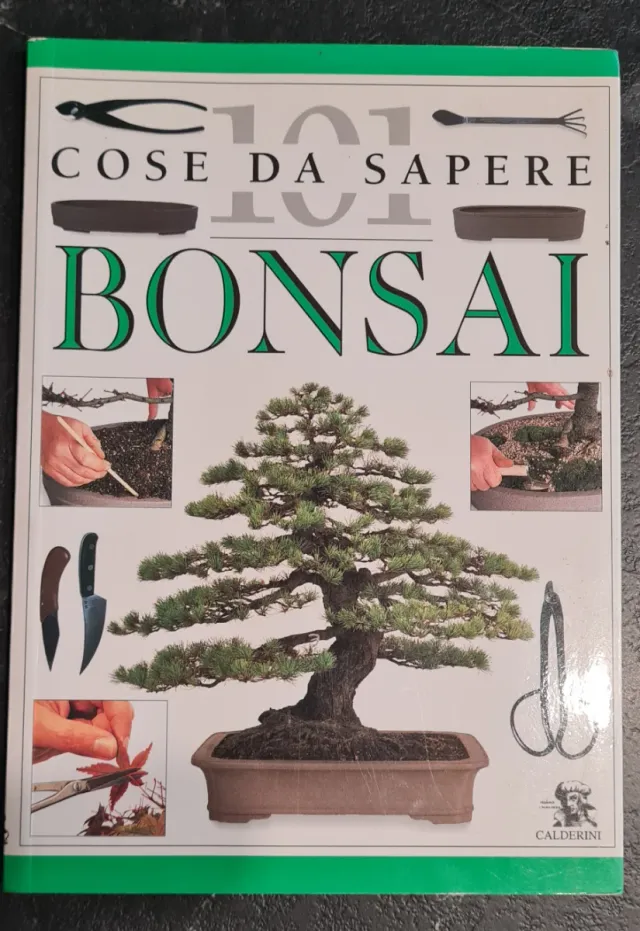 101 cosa da sapere Bonsai - Bonsai & News