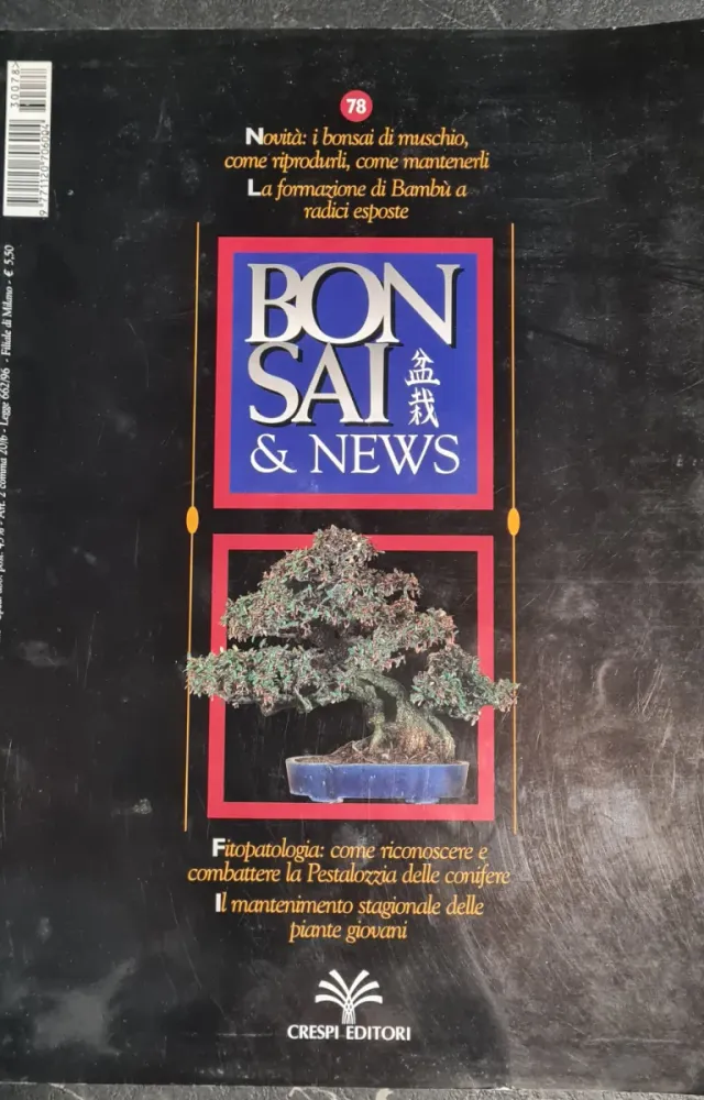 101 cosa da sapere Bonsai - Bonsai & News