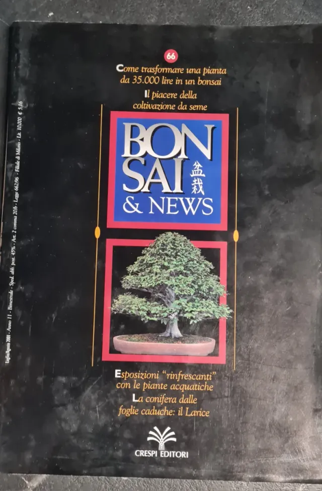 101 cosa da sapere Bonsai - Bonsai & News