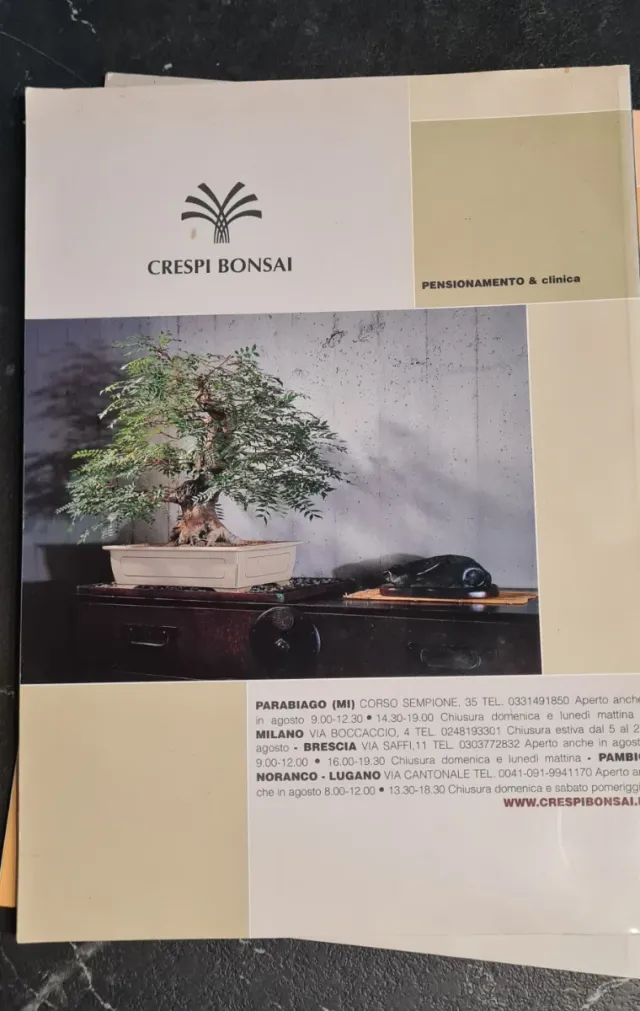101 cosa da sapere Bonsai - Bonsai & News