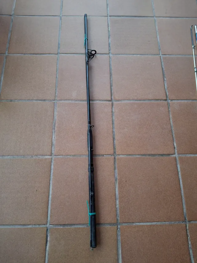 Caña de pesca Spinjoy 270cm