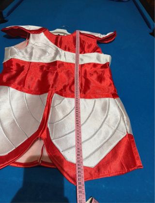 Costume Pegasus Cavalieri dello Zodiaco