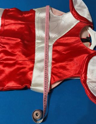 Costume Pegasus Cavalieri dello Zodiaco