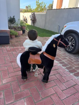 Ponycycle Caballo Andador Negro