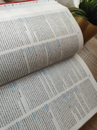 Diccionario Secundaria y Bachillerato. Lengua e...