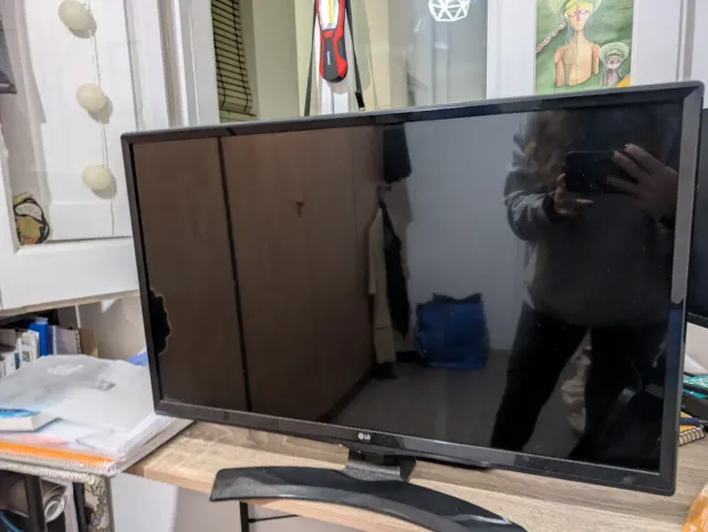 Monitor LG Negro, televisión