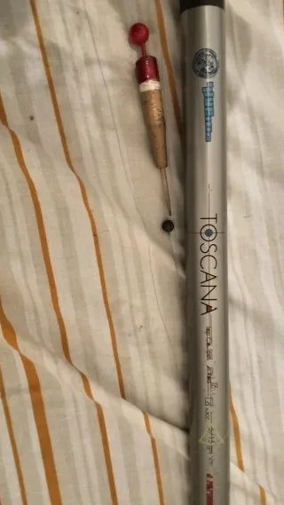 Caña (7) de pescar Toscana con carrete