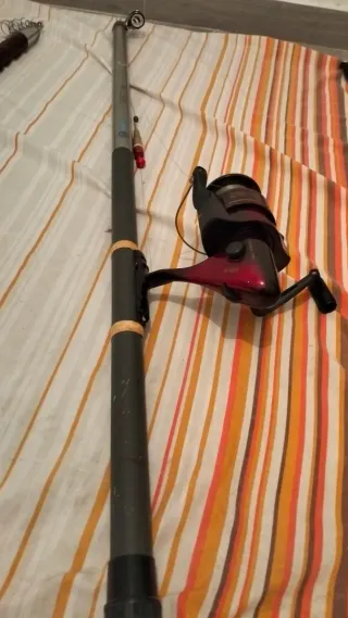 Caña (7) de pescar Toscana con carrete