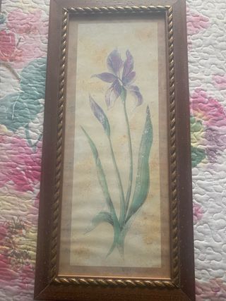 Pareja de cuadros de flores