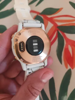 Garmin Fenix 6S Pro Rose Gold/Blanco