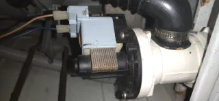 Bomba lavadora Plaset 66629 220-240V 30W