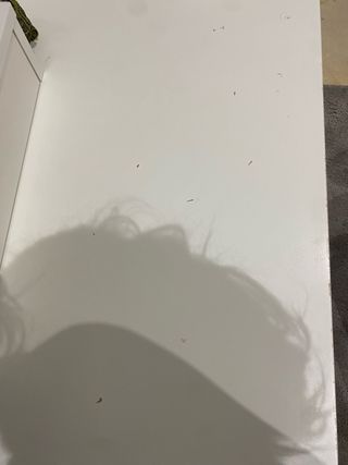 Scrivania 2m + Cassettiera + alzata