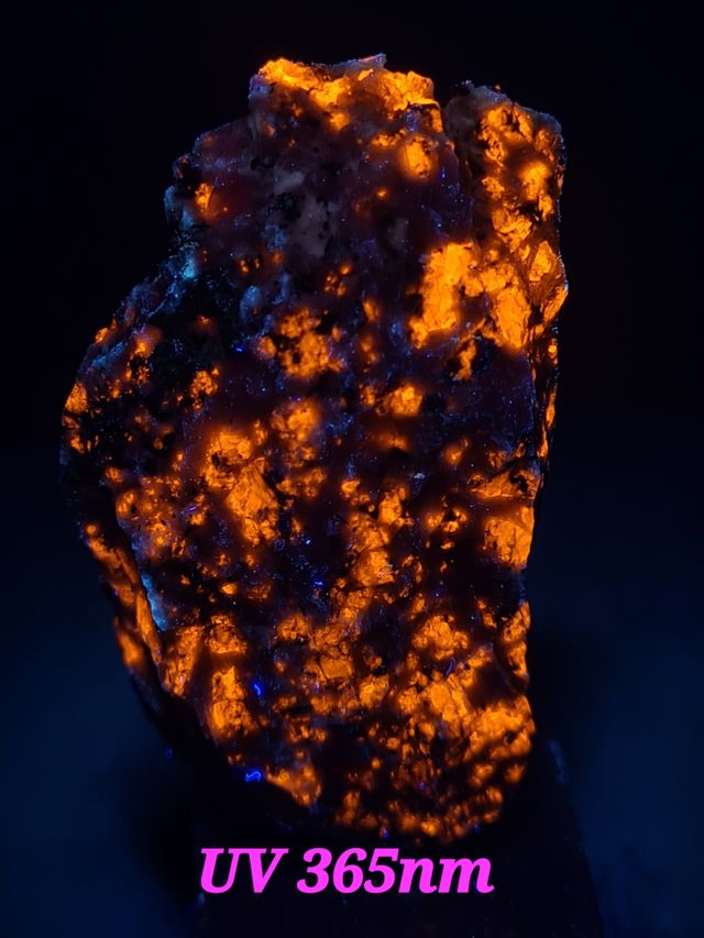 Sodalità in Sienita Mont Saint Hilaire