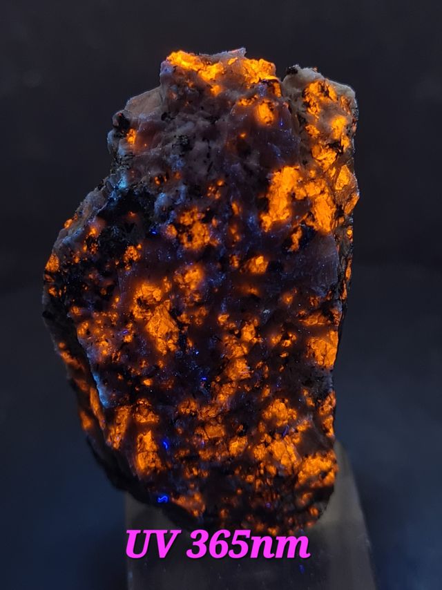 Sodalità in Sienita Mont Saint Hilaire