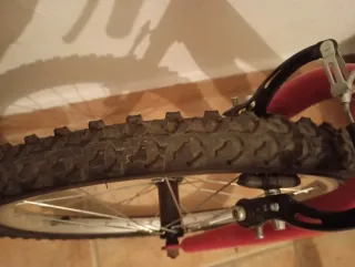 Bicicleta Infantil 20 DENBIKE