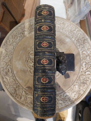 Álbum de Fotos Antiguo Dresden Gallery 1860/80