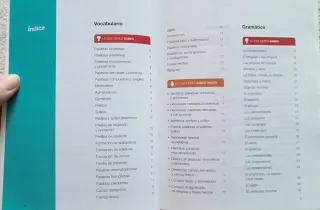 Libro Lo esencial de Lengua Castellana