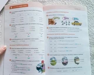 Libro Lo esencial de Lengua Castellana