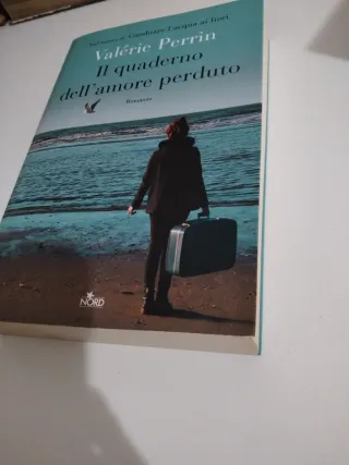 Il quaderno dell'amore perduto