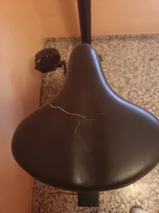 Bicicleta Estática Domyos