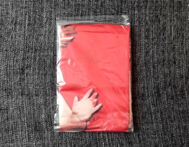 Stendardo Bambino Gesù (NUOVO)