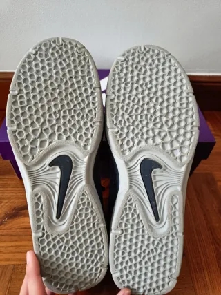 Deportivas Nike SB Vertebrae Azules