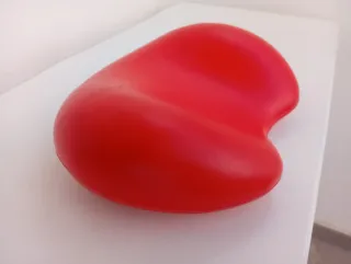 Cojín Spa/Jacuzzi Rojo