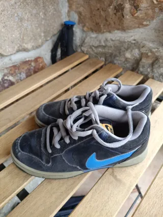 Zapatillas Nike Renzo Skate Negras y Azules