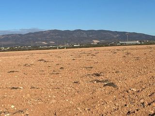 Terreno en venta en Fuente Alamo