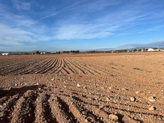Terreno en venta en Fuente Alamo