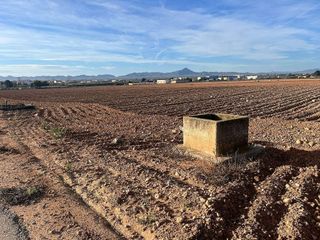 Terreno en venta en Fuente Alamo