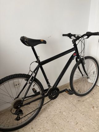 Bicicleta Negra Montaña