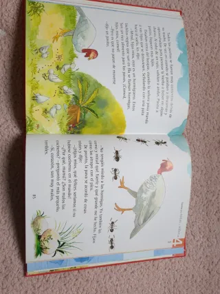 Cuentos para niños y niñas de 4 años