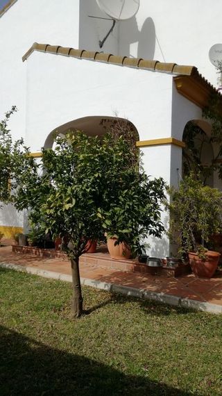 Casa pareada en alquiler en Sanlúcar la Mayor