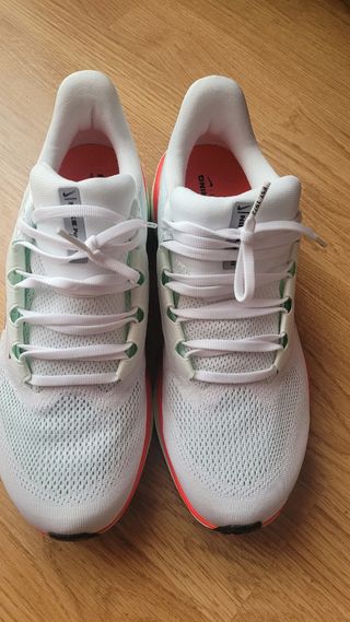 Nike Pegasus 41 42.5