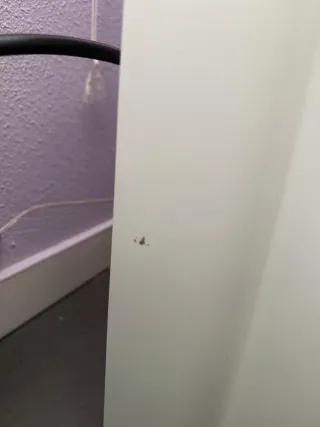 Cama nido de madera blanca