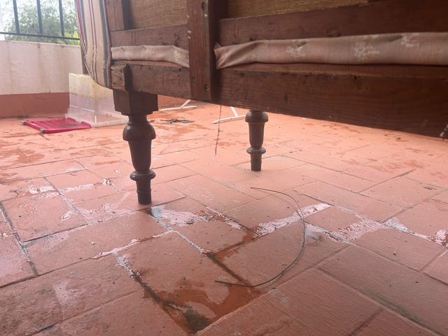 Sofá Clásico Madera Maciza Multicolor